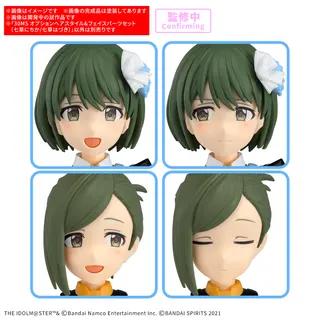 30MS オプションヘアスタイル&フェイスパーツセット(七草にちか/七草はづき)