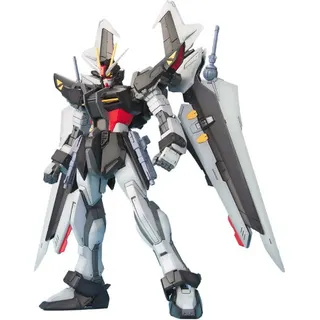 MG 機動戦士ガンダムSEED C.E.73 STARGAZER ストライクノワールガンダム 1/100スケール