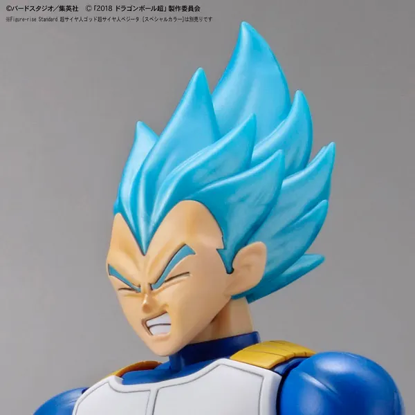 Figure-rise Standard 超サイヤ人ブロリーフルパワー(4)