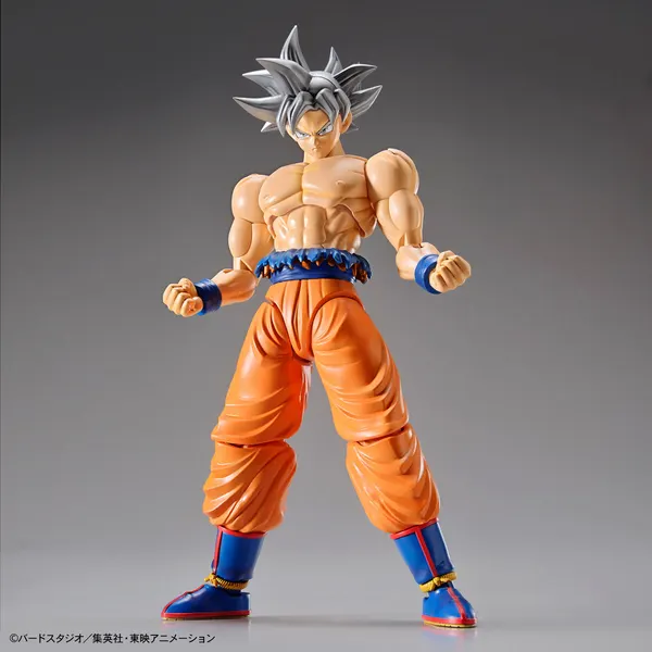 Figure-rise Standard 孫悟空(身勝手の極意)(4)