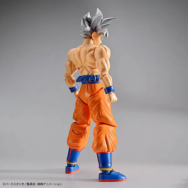 Figure-rise Standard 孫悟空(身勝手の極意)(5)