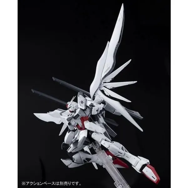 MG 1/100 インパルスガンダムブランシュ（5）