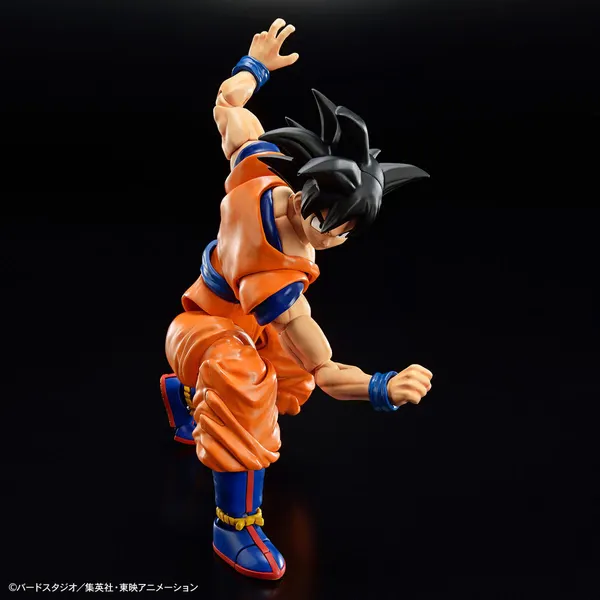 Figure-rise Standard 孫悟空 (NEW SPEC Ver.)（3）