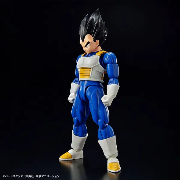 Figure-rise Standard ベジータ (NEW SPEC Ver.)(2)