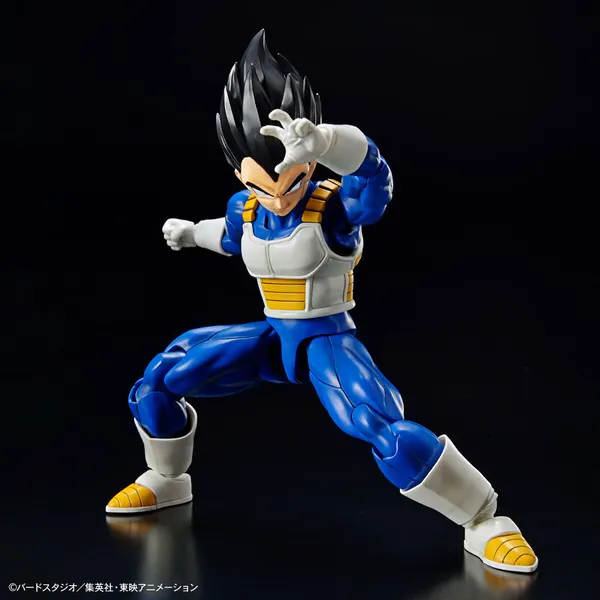 Figure-rise Standard ベジータ (NEW SPEC Ver.)(4)