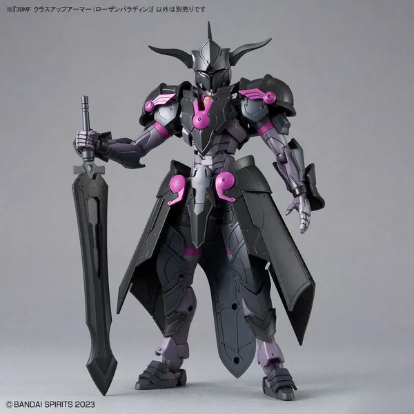 30MF クラスアップアーマー (ローザンパラディン)(2)