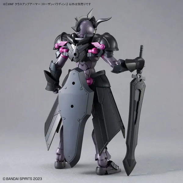 30MF クラスアップアーマー (ローザンパラディン)(3)