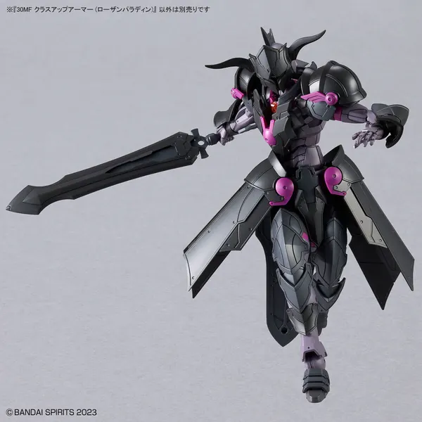 30MF クラスアップアーマー (ローザンパラディン)(4)