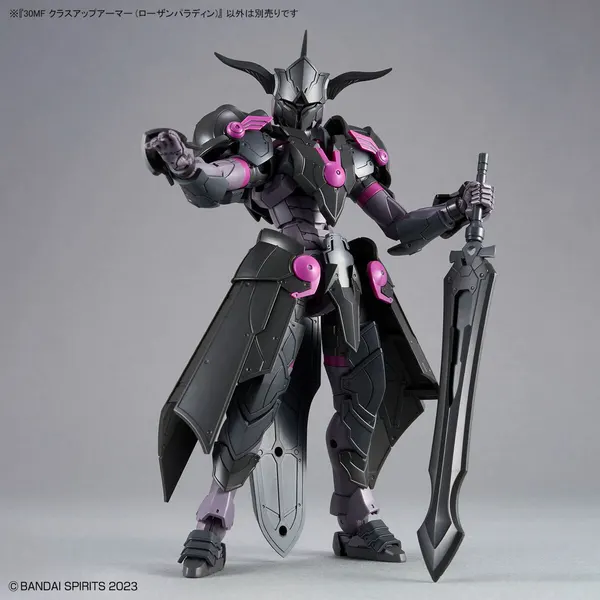 30MF クラスアップアーマー (ローザンパラディン)(5)