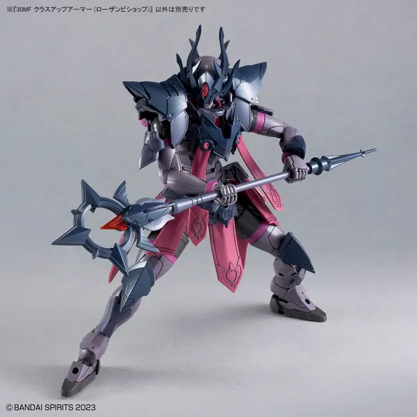 30MF クラスアップアーマー (ローザンビショップ)(2)