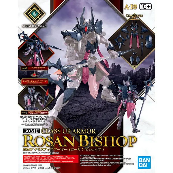 30MF クラスアップアーマー (ローザンビショップ)(5)