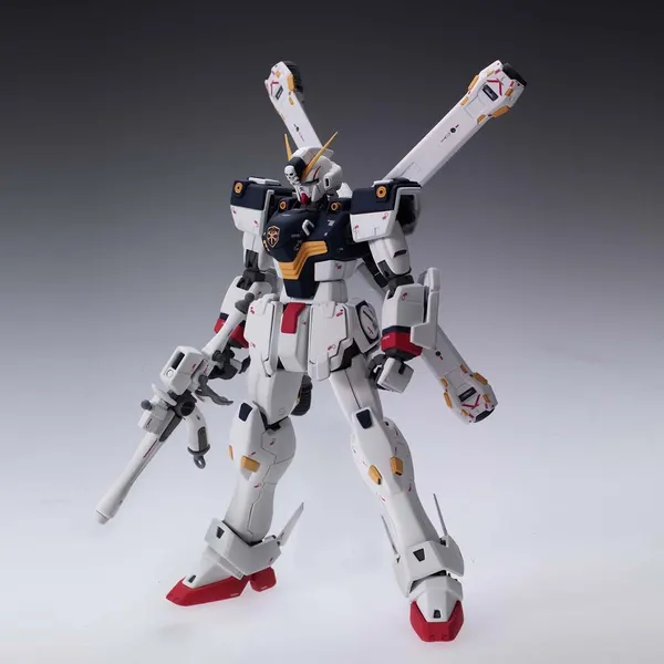 MG 1/100 クロスボーンガンダムX-1 Ver.Ka(1)