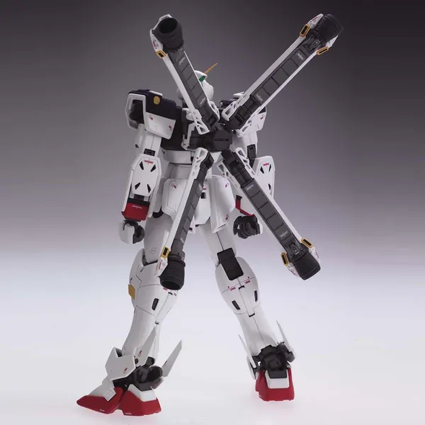 MG 1/100 クロスボーンガンダムX-1 Ver.Ka(2)
